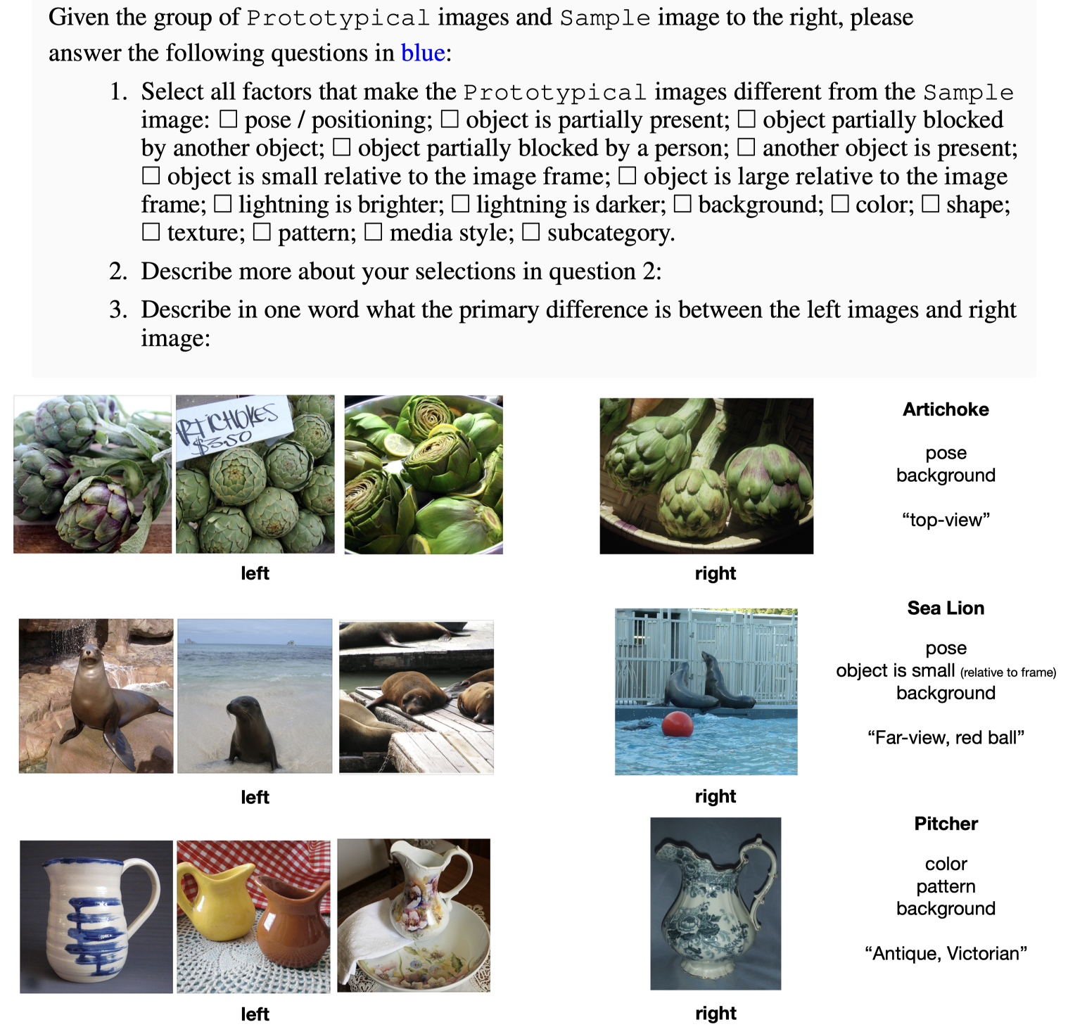 ImageNet-X Annotation Examples