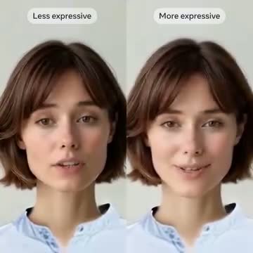 Seamless Interaction Dataset