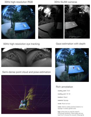 A display of images captured from different kinds of cameras and how they map onto things like gaze and pose estimation.
