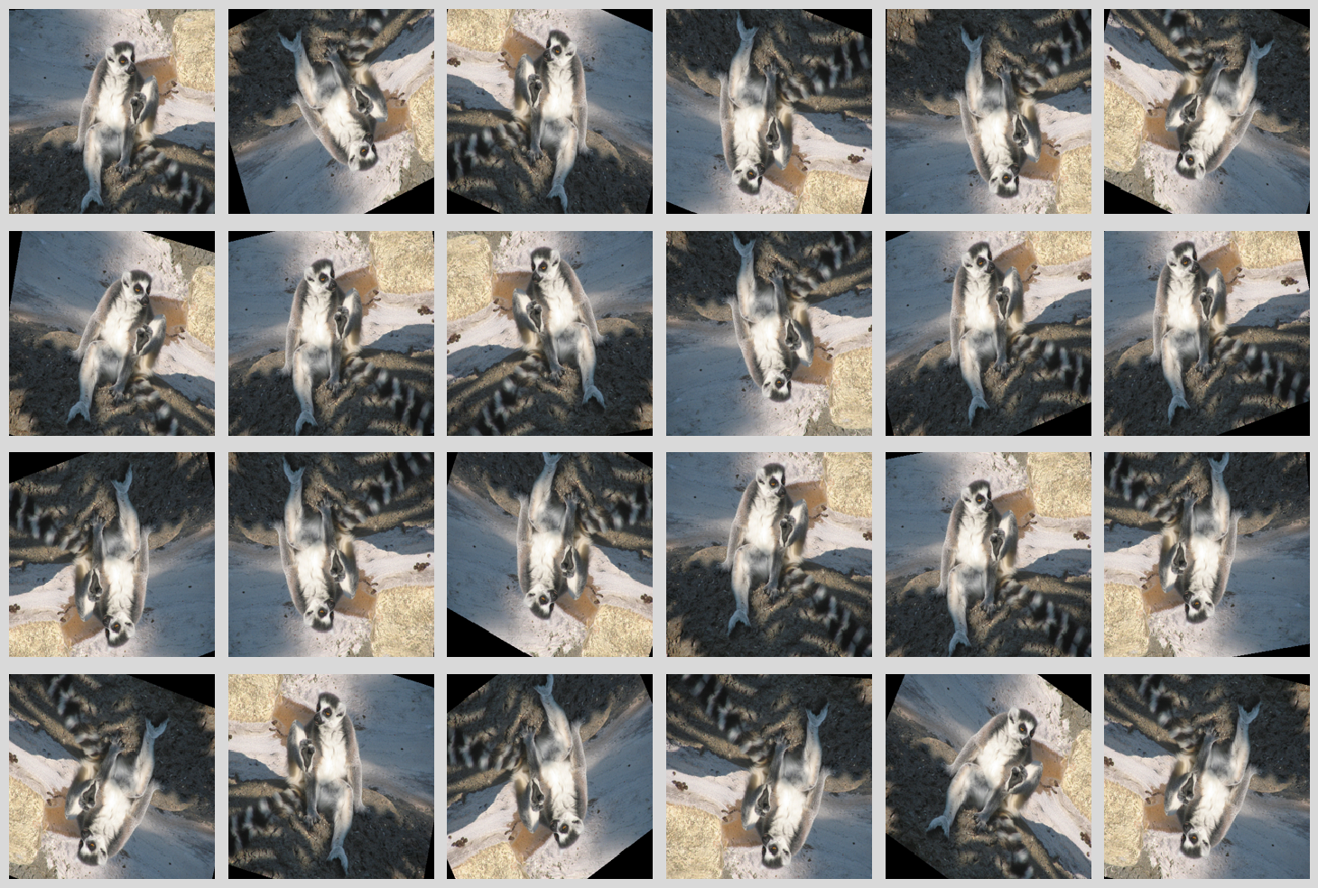 ../_images/io_preprocessing_random_aug.png